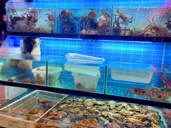 -金陵大勇烧烤·小龙虾·海鲜大咖(竹山路店)