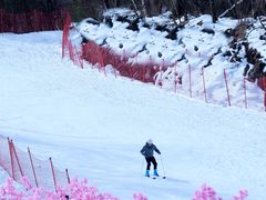 -叠溪松坪沟景区
