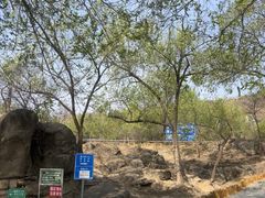 -白水寺森林公园