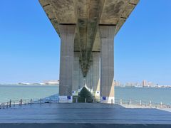-中澳友谊花园