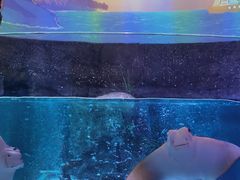 -沈阳海洋探索中心