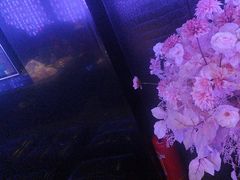 -黑桃K生日订制KTV