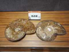 -六合国家地质公园桂子山景区