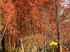 -浙江农林大学(东湖校区)