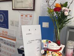 -中农国际动物医院24小时·猫科·骨科·急重症中心