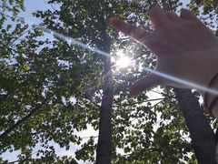 -清真王强炸串