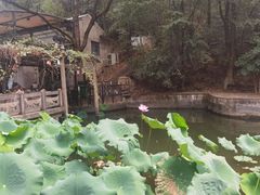 -天怡·鱼工厂(梅溪湖店)