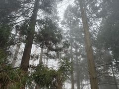 -罗田薄刀峰风景区