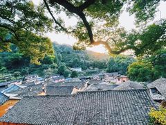 -杨家堂村