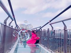 -梦幻奥陶纪景区