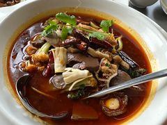 -香辣会·老牌川菜(骏豪店)