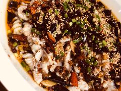 -三猫黑鱼花(南大店)