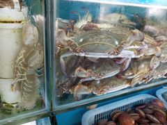 -港畔赶海蒸汽海鲜烧烤自助(仙螺岛店)
