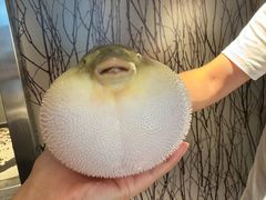 -永安鱼庄·镇江菜(东吴路店)