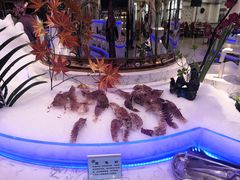 -澜悦港海鲜体验主题餐厅