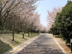 -南山风景名胜区