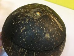 -志龙皇冠吃货椰子铺