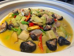-印象鲵宴·张家界地标美食名片(溪布街店)