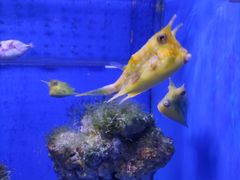 -多彩贵州城极地海洋世界