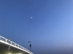 -演武大桥观景平台