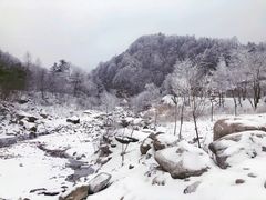 -秦岭风景区