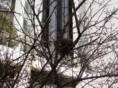 -无锡市市民中心