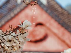 -杭州上天竺法喜讲寺