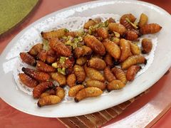 -天强农家菜馆