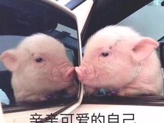 -檬舒舒MonChouChou(久光百货店)