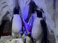 -太平洋海底世界