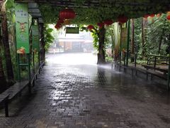 -呀诺达热带雨林