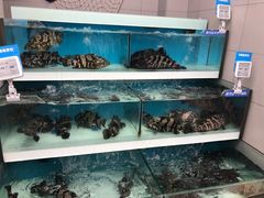 -盒马鲜生(大成店)