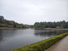 -南国桃园旅游度假区
