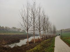 -洨河生态公园