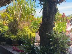 -自然餐厅(Phuket)