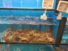 -盒马鲜生(宝地店)