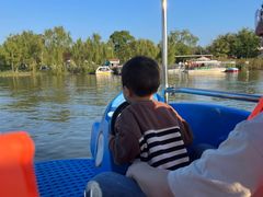 -上海长兴岛郊野公园