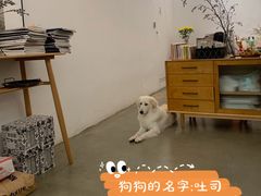 -尤加利咖啡馆