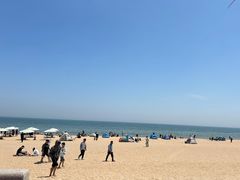 -日照海滨国家森林公园