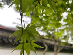 -浙江省博物馆(孤山馆区)