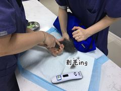 -福州肆爪动物医院