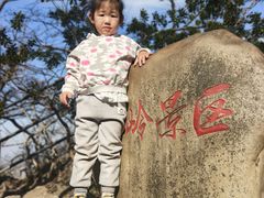 -紫金山山顶公园