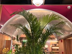 -芭莉与彩虹西餐厅(成都合生汇店)