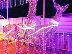 -新五爱道夜市