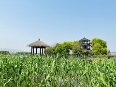 -下渚湖国家湿地公园科普馆