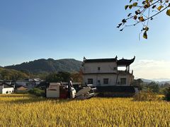 -塔川景区