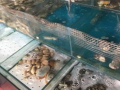 -金太阳海鲜烧烤·本地人餐厅(东纬路旗舰店)