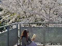 -IKEA宜家家居(南京商场)