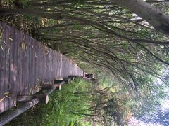 江湾湿地公园-新江湾城公园