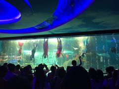 -大明湖海底世界